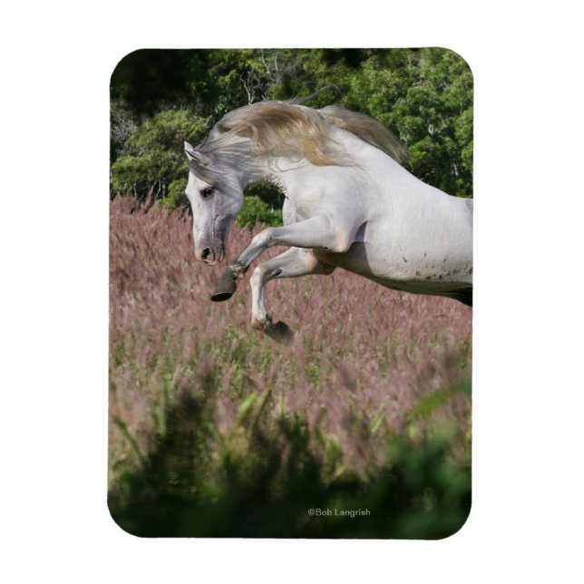 Magnet Flexible Chevaux d'Imaginaire : Spring Gallop (Vertical)