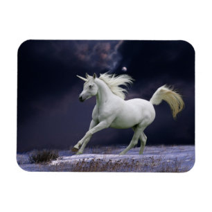 Magnet Flexible Chevaux d'Imaginaire : Unicorne