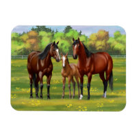 Chevaux Du Quartier De La Baie Brown Dans Les Pâtu