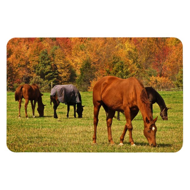 Magnet Flexible Chevaux en automne (Horizontal)