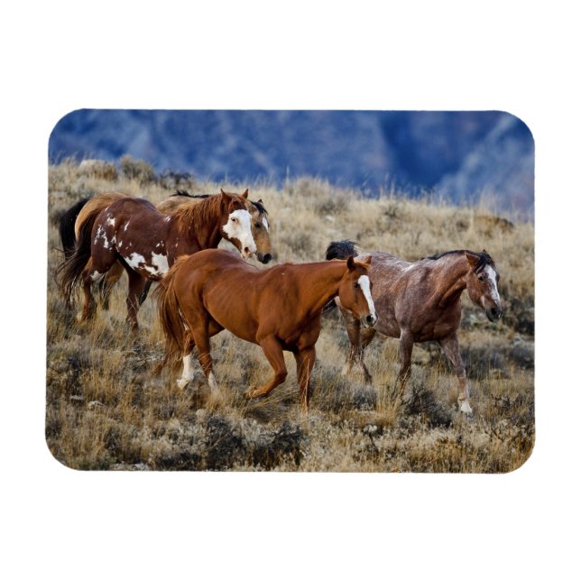 Magnet Flexible Chevaux errant dans les collines (Horizontal)