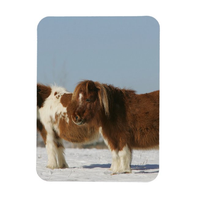 Magnet Flexible Chevaux miniatures debout dans la neige (Vertical)