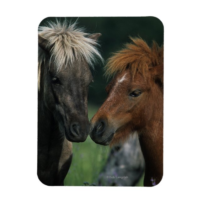 Magnet Flexible Chevaux miniatures Touchant (Vertical)