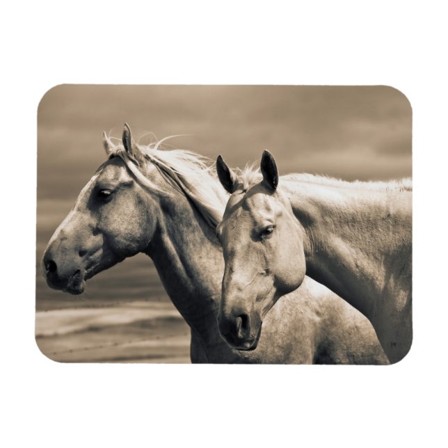 Magnet Flexible Chevaux Quarter Horse dans la prairie canadienne (Horizontal)