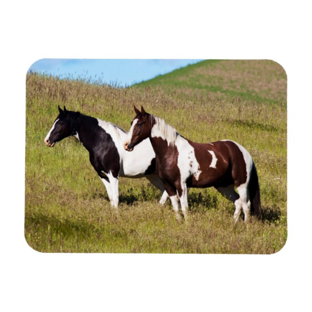 Magnet Flexible Chevaux sur le flanc de colline (Horizontal)