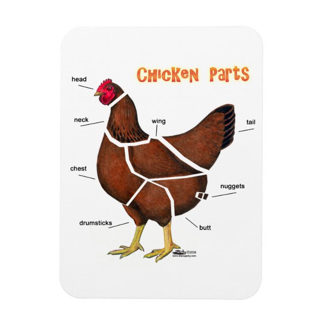 Magnet Flexible Chicken (Vertical)