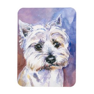 Magnet Flexible Chien