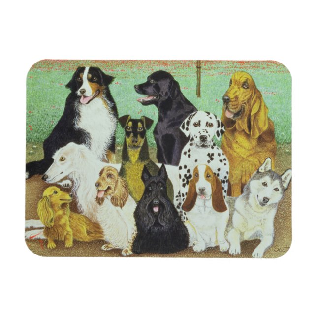 Magnet Flexible Chien (Horizontal)