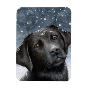 Magnet Flexible Chien 100 noir Labrador Photo aimant