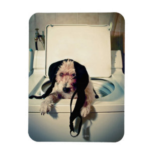 Magnet Flexible Chien aidant avec le lavage