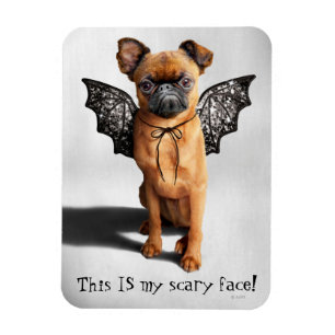 Magnet Flexible Chien aux ailes de chauve-souris