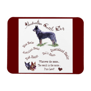 Magnet Flexible Chien de bétail australien amour pur