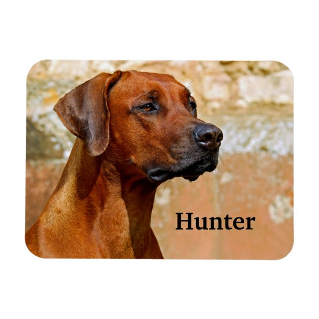 Magnet Flexible Chien de Rhodesian Ridgeback (Horizontal)