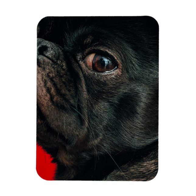 Magnet Flexible chien de rojo (Vertical)