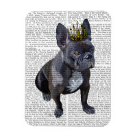 Chien de taureau français
