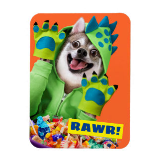 Magnet Flexible Chien en costume de dinosaure