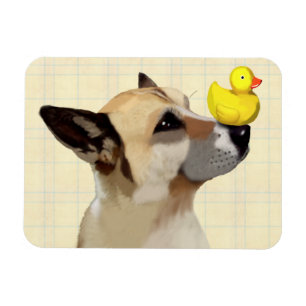 Magnet Flexible Chien et canard