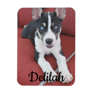 Magnet Flexible Chien personnalisé | Photo pour animaux