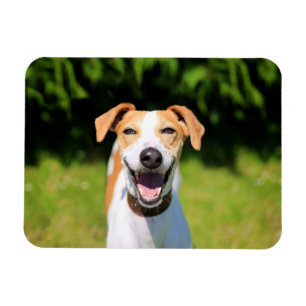 Magnet Flexible Chien riant des images   de Getty