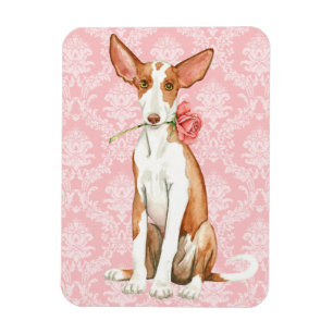 Magnet Flexible Chien rose de Valentine Ibizan