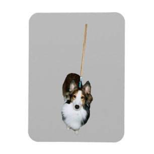 Magnet Flexible Chien Serpillière