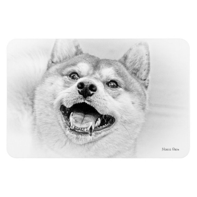 Magnet Flexible Chien Shiba Inu souriant (Horizontal)
