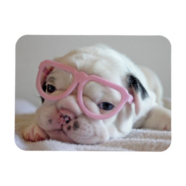 Magnet Flexible Chien-taureau français en lunettes de coeur (Horizontal)
