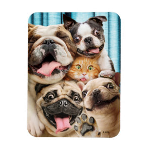 Magnet Flexible Chiens et photo d'un groupe de chats