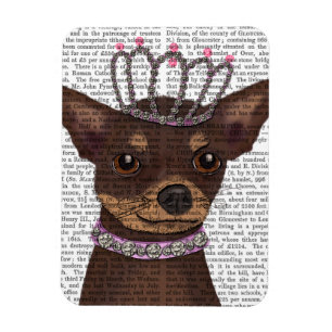 Magnet Flexible Chihuahua Brown Et Tiara