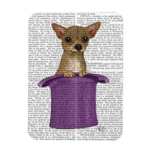 Magnet Flexible Chihuahua en haut du chapeau