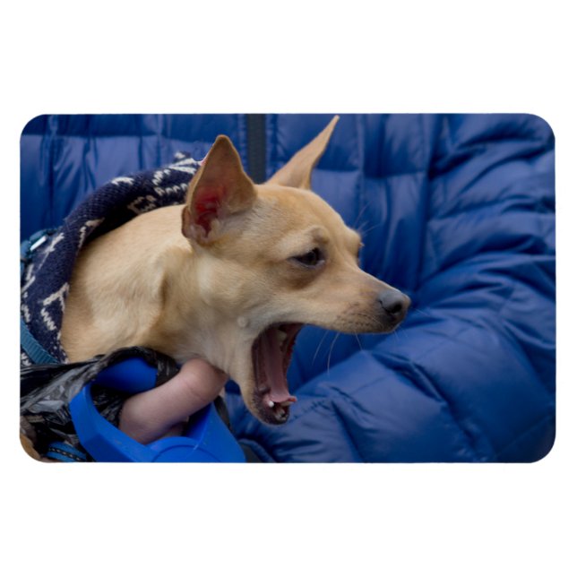 Magnet Flexible Chihuahua hurle (Horizontal)