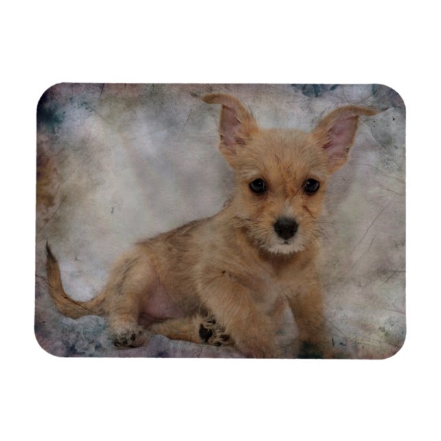 Magnet Flexible Chihuahua/Yorkie Puppy (Horizontal)