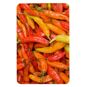 Magnet Flexible Chili