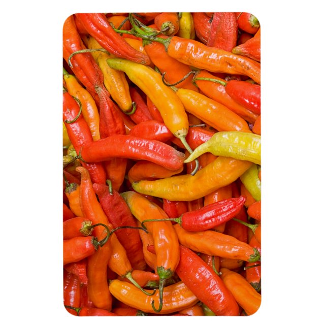 Magnet Flexible Chili (Vertical)