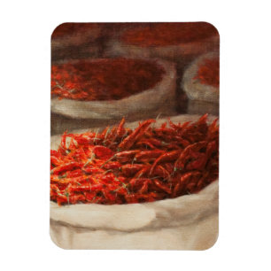 Magnet Flexible Chillis 2010