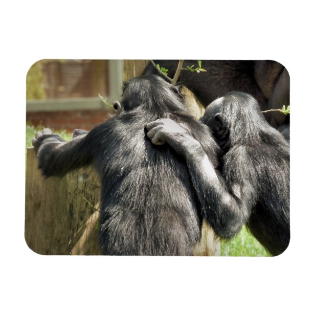 MAGNET FLEXIBLE CHIMPANZÉS (Horizontal)