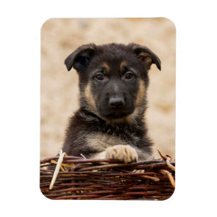 Magnet Flexible Chiot Allemand En Panier