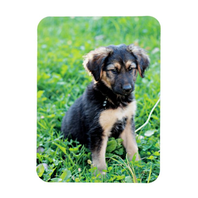 Magnet Flexible Chiot berger allemand (Vertical)