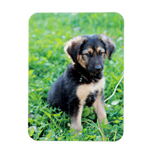 Magnet Flexible Chiot de berger allemand
