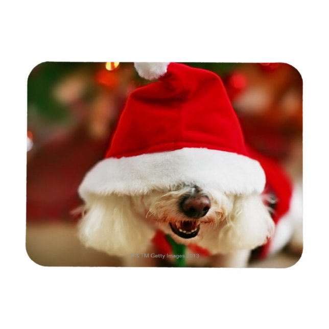 Magnet Flexible Chiot de Bichon Frise en costume Père Noël (Horizontal)