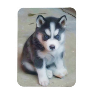 Magnet Flexible Chiot de chien de traîneau sibérien