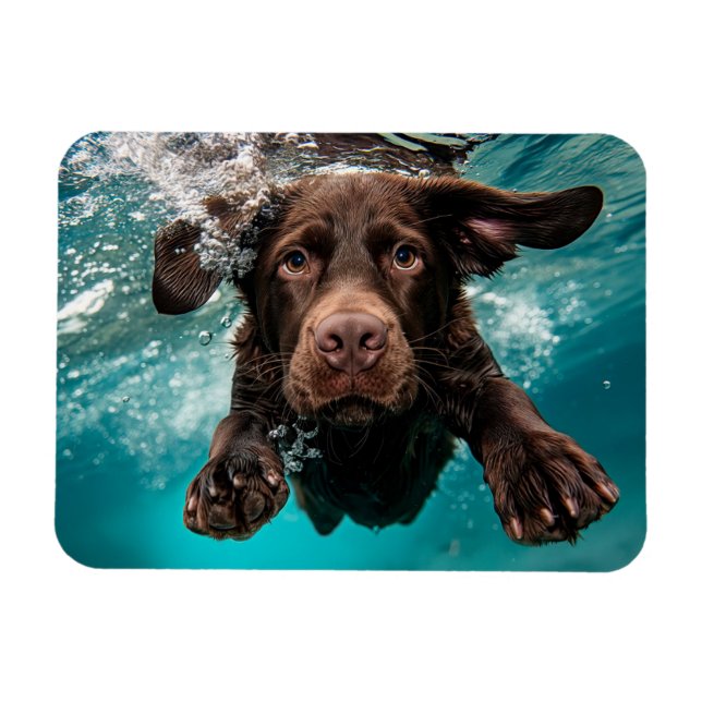 Magnet Flexible Chocolat Joueur Labrador nage sous l'eau (Horizontal)