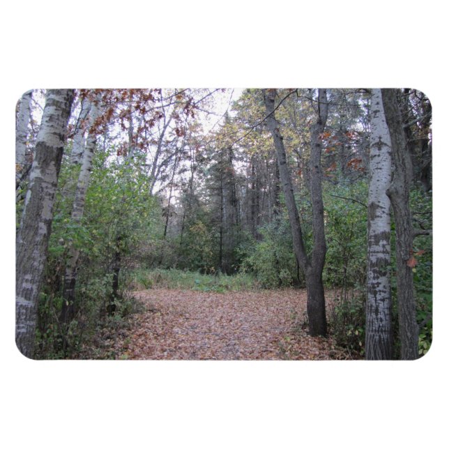 Magnet Flexible Choisissez votre chemin. (Horizontal)