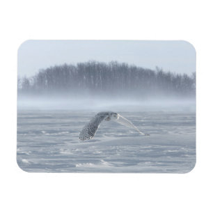 Magnet Flexible Chouette Neige Volant En Hiver