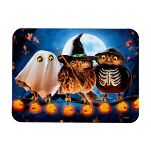 Magnet Flexible Chouettes d'Halloween
