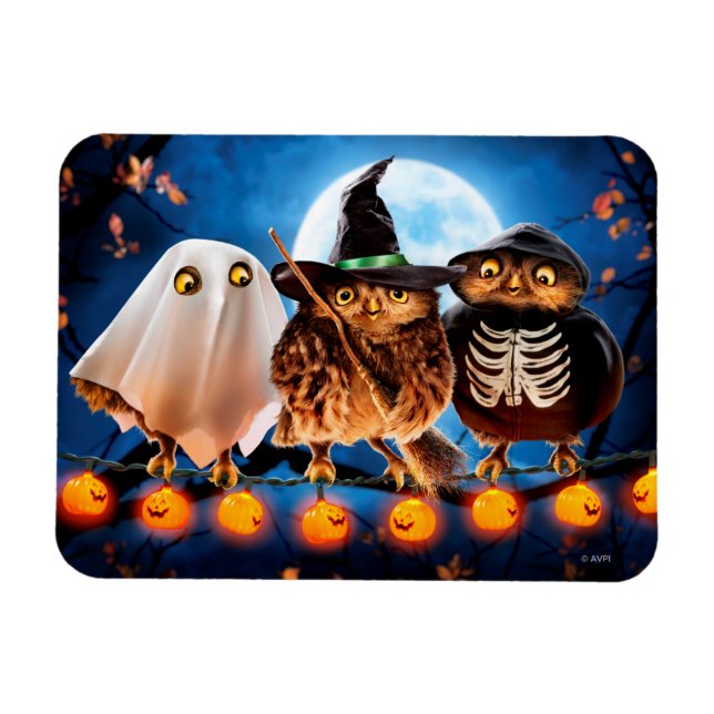 Magnet Flexible Chouettes d'Halloween (Horizontal)