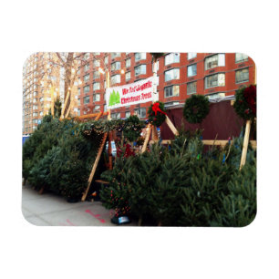Magnet Flexible Christmas Tree Stand Upper West Side New York City