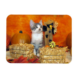Magnet Flexible Chute adorable de porc / Chat d'automne / Chat d'a