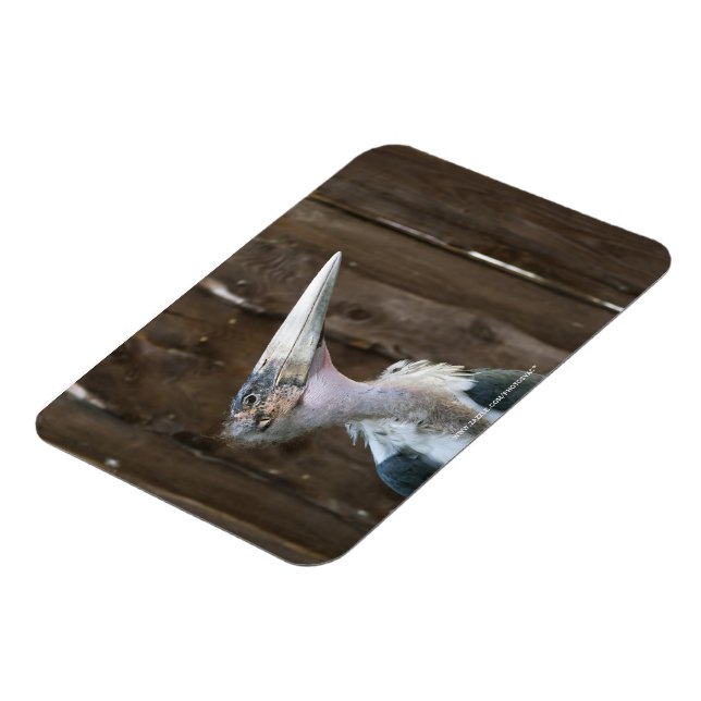 Magnet Flexible Cigogne marabou (Côté Gauche)