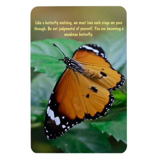 Magnet Flexible Citation Africaine D Inspiration De Papillon De Zazzle Fr